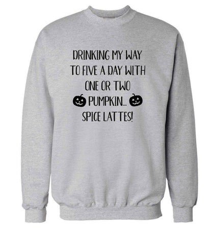5 a Day Pumpkin Lattes adult's unisex grey sweater 2XL