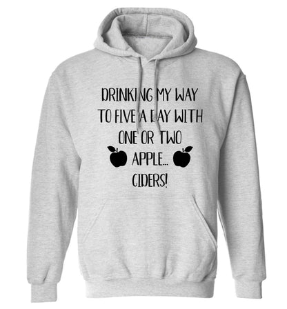 Drinking my way to five a day with one or two apple ciders adults unisex grey hoodie 2XL