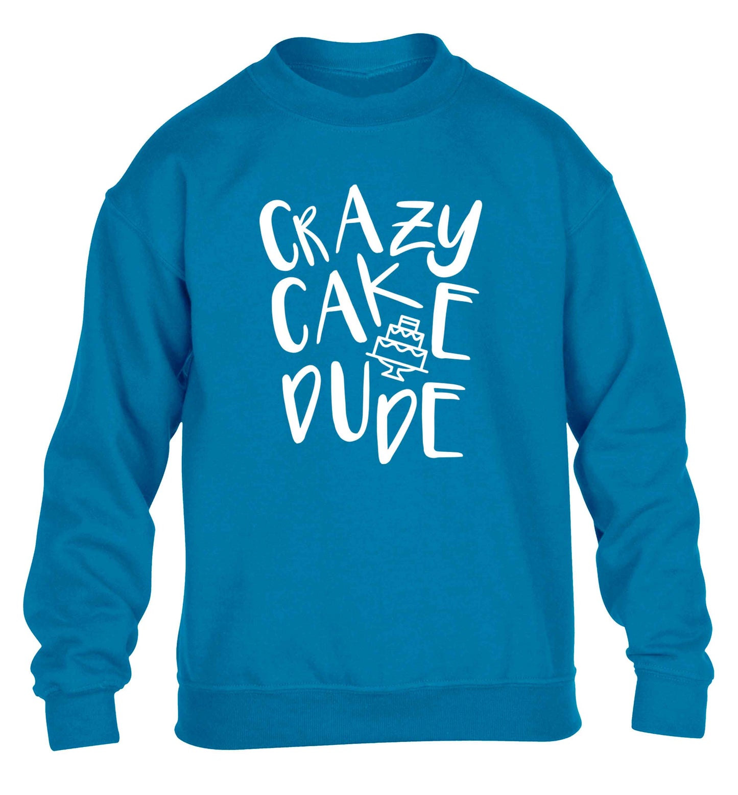 Crazy cake dude children's blue sweater 12-13 Years