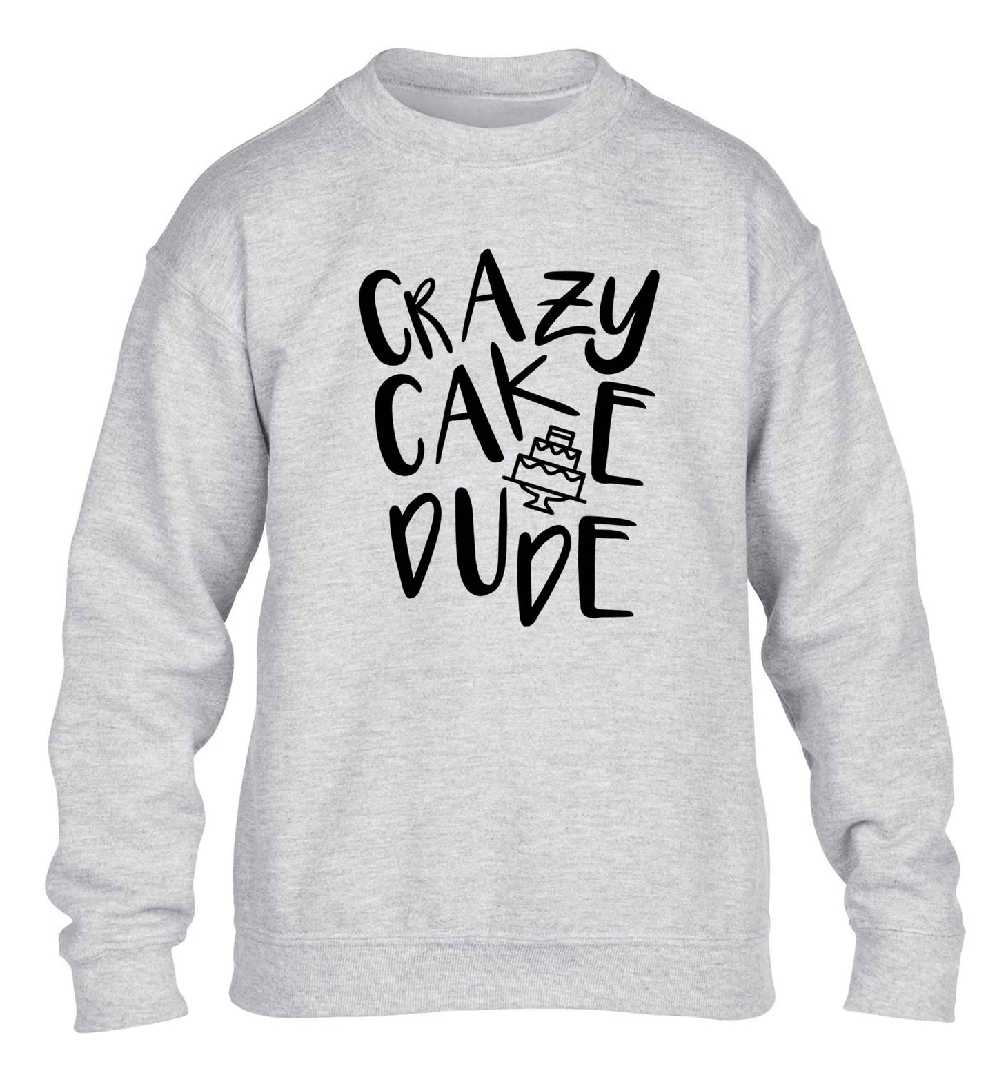 Crazy cake dude children's grey sweater 12-13 Years