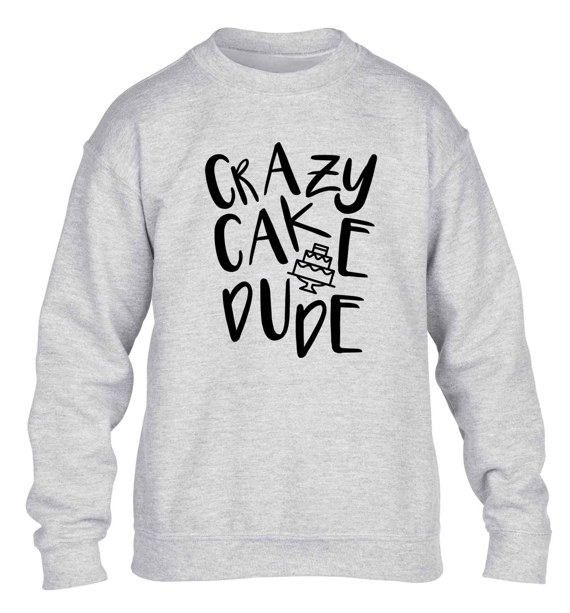 Crazy cake dude children's grey sweater 12-13 Years