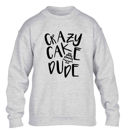 Crazy cake dude children's grey sweater 12-13 Years