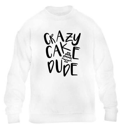 Crazy cake dude children's white sweater 12-13 Years