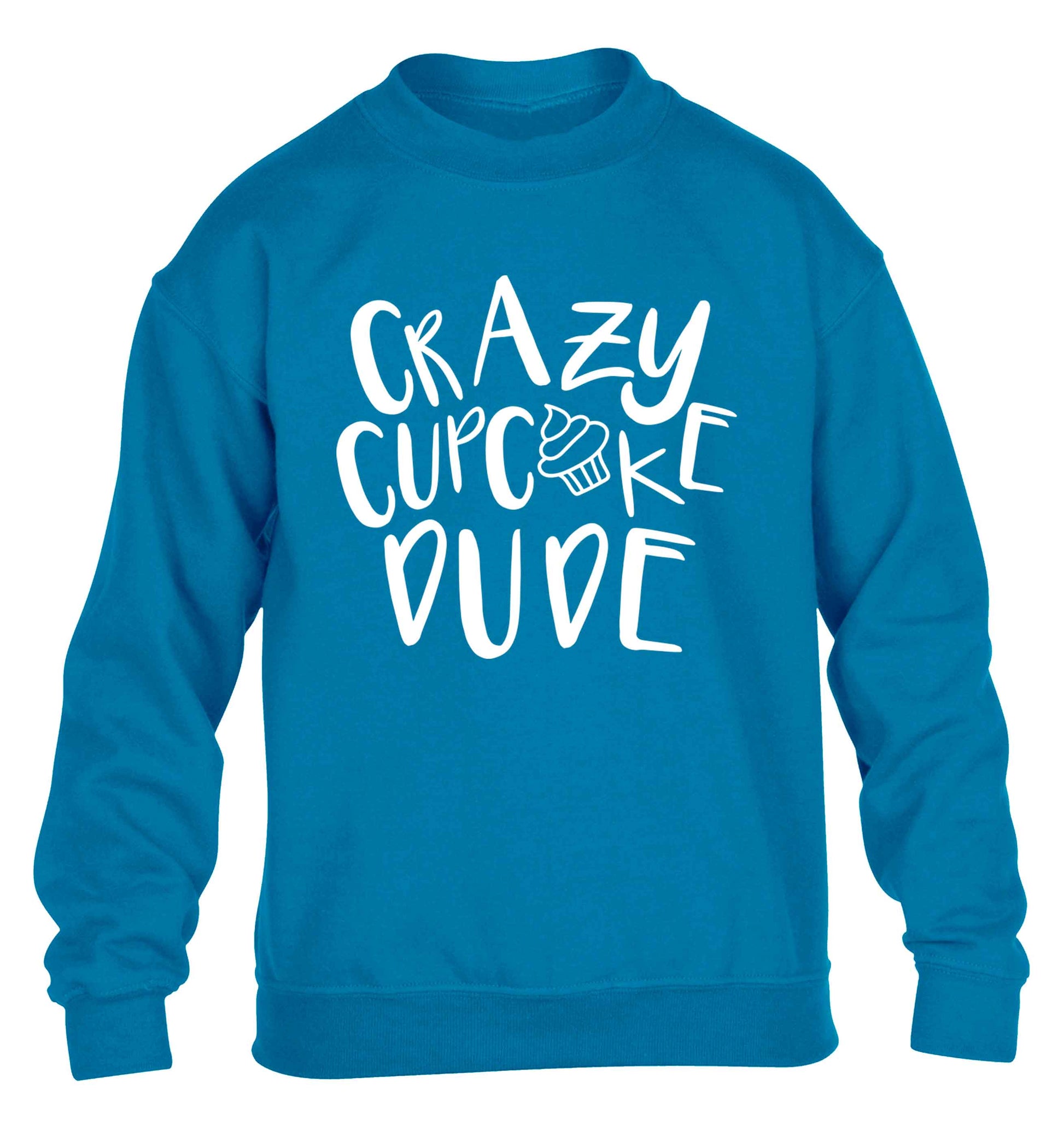 Crazy cupcake dude children's blue sweater 12-13 Years