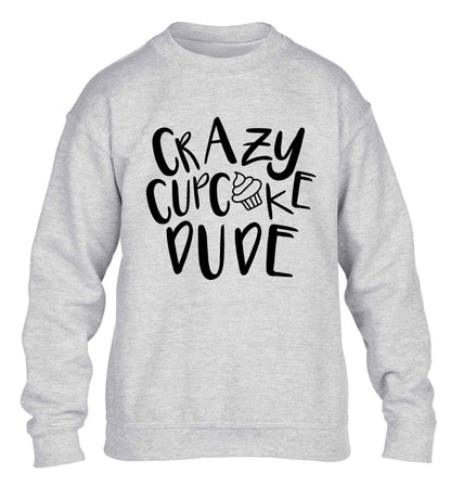 Crazy cupcake dude children's grey sweater 12-13 Years