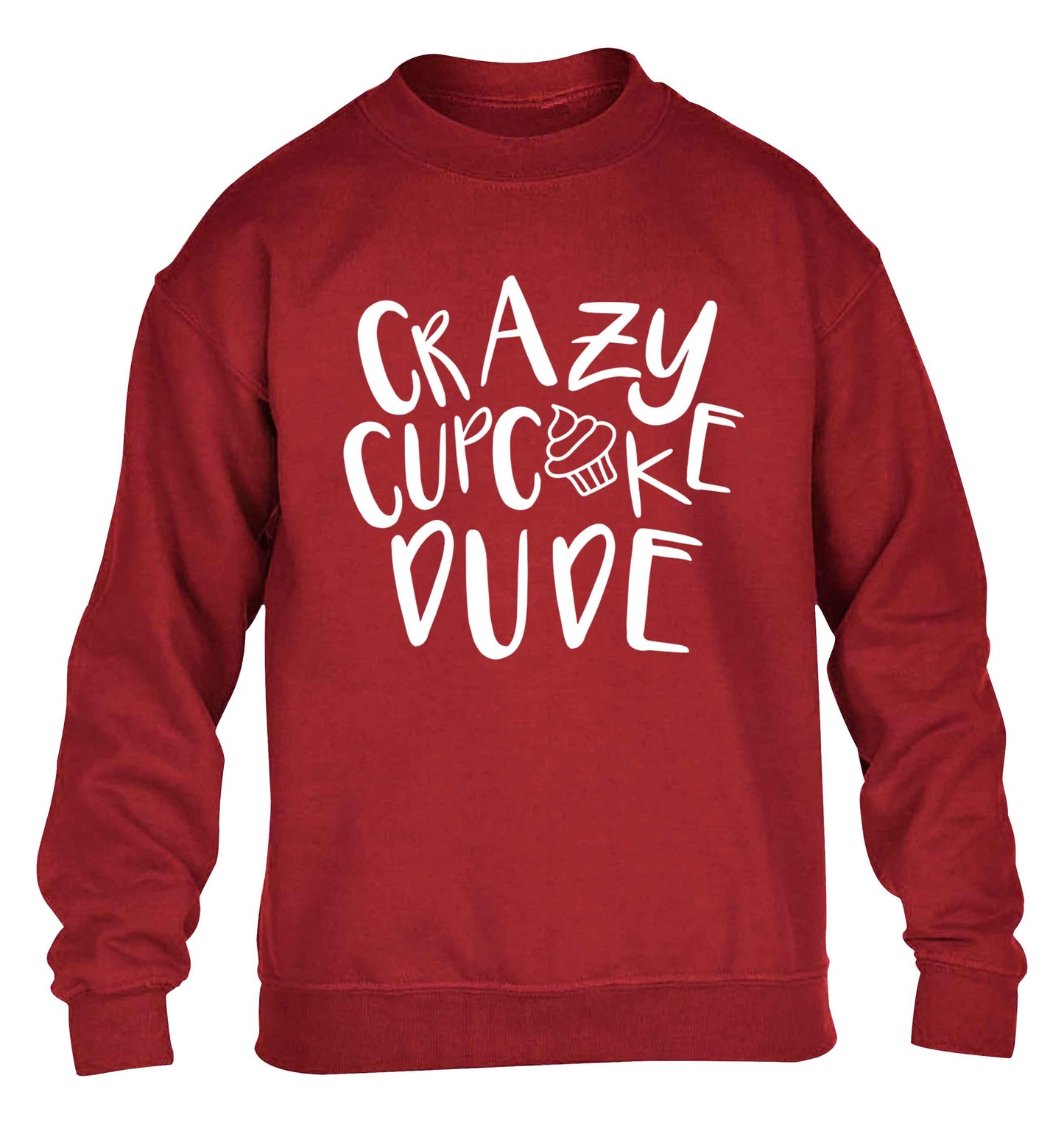 Crazy cupcake dude children's grey sweater 12-13 Years
