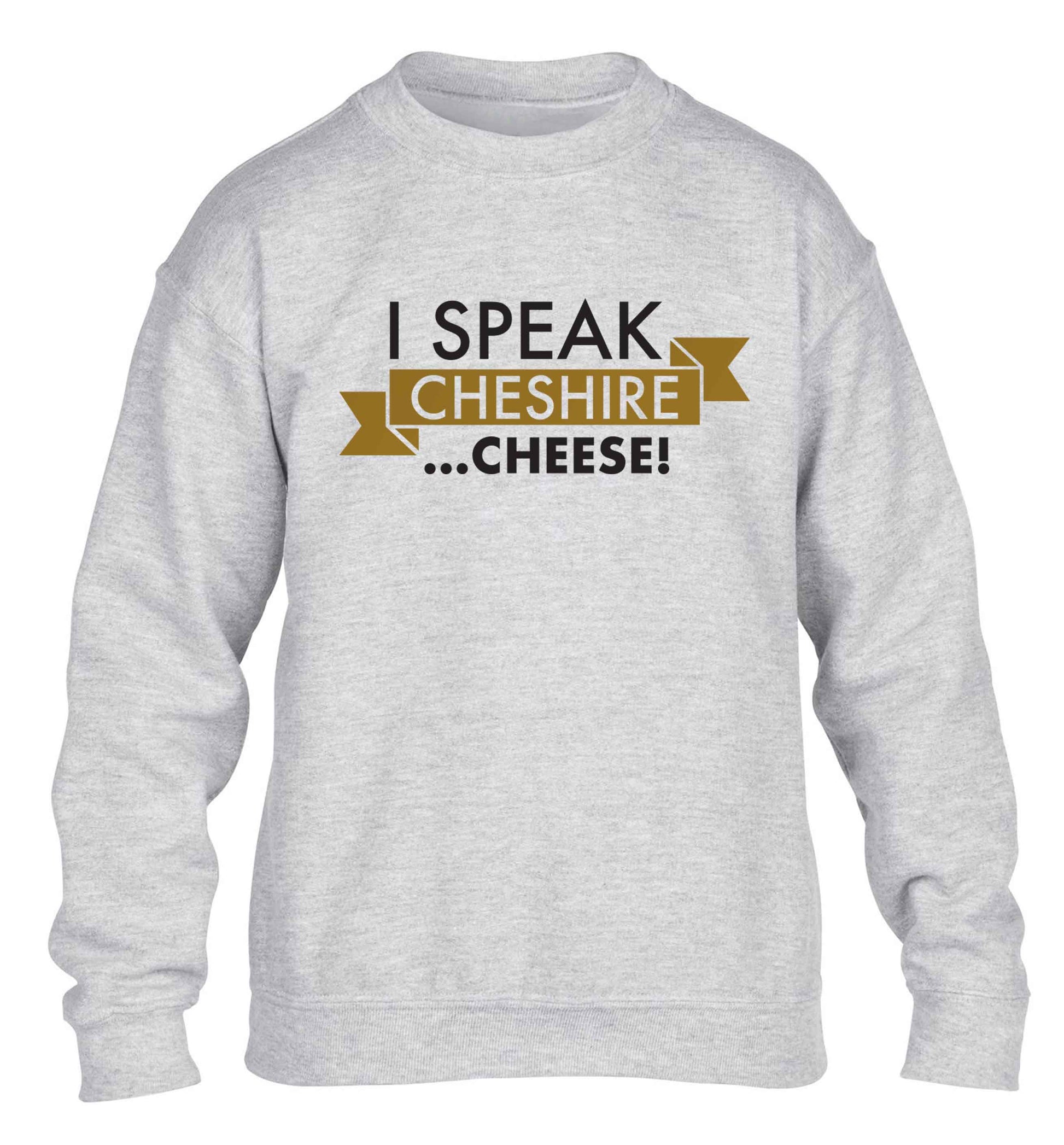 I speak Cheshire cheese children's grey sweater 12-13 Years