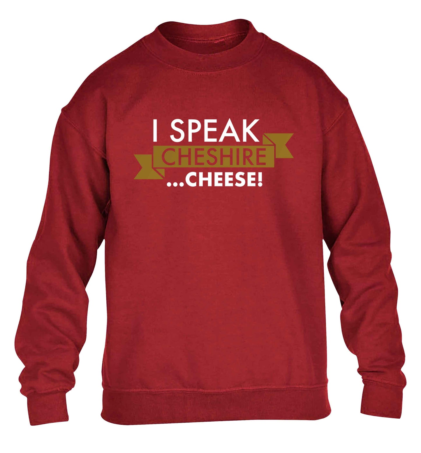 I speak Cheshire cheese children's grey sweater 12-13 Years