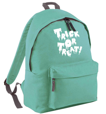 Pumpkin on Way mint adults backpack
