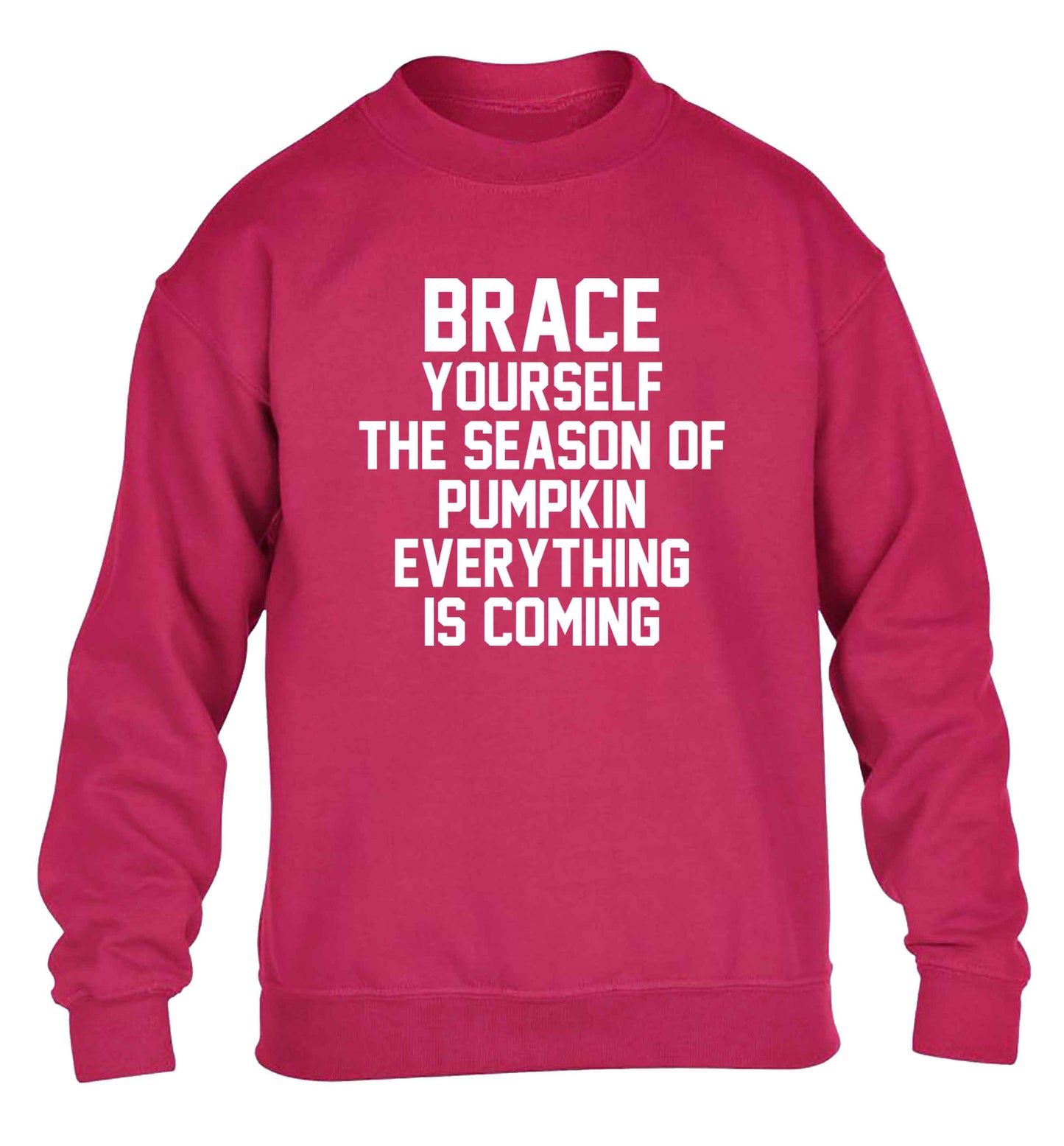To my Little Pumpkin children's pink sweater 12-13 Years