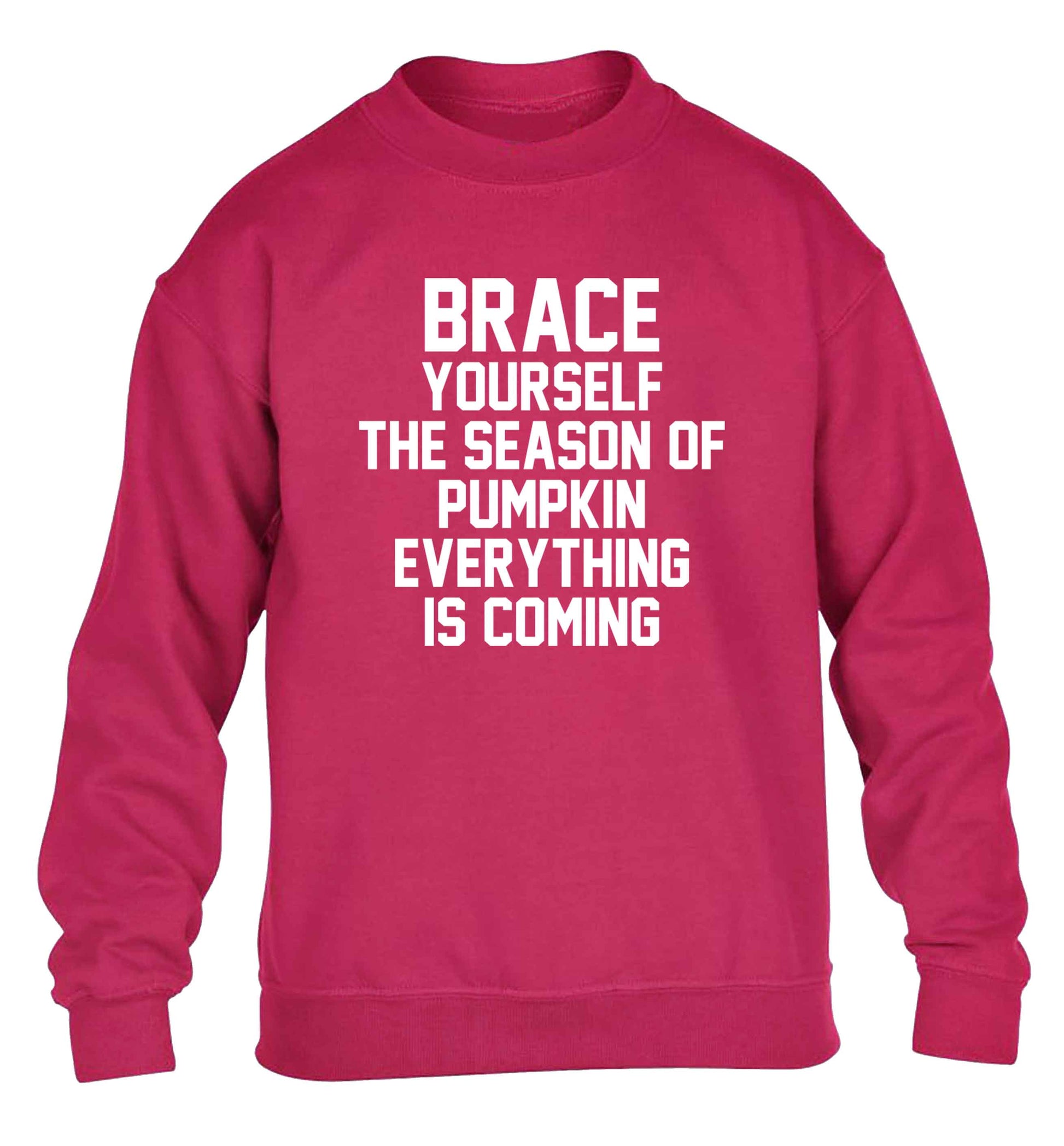 To my Little Pumpkin children's pink sweater 12-13 Years