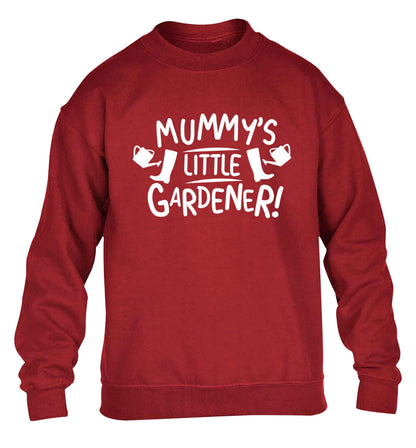 Mummy's little gardener children's grey sweater 12-13 Years