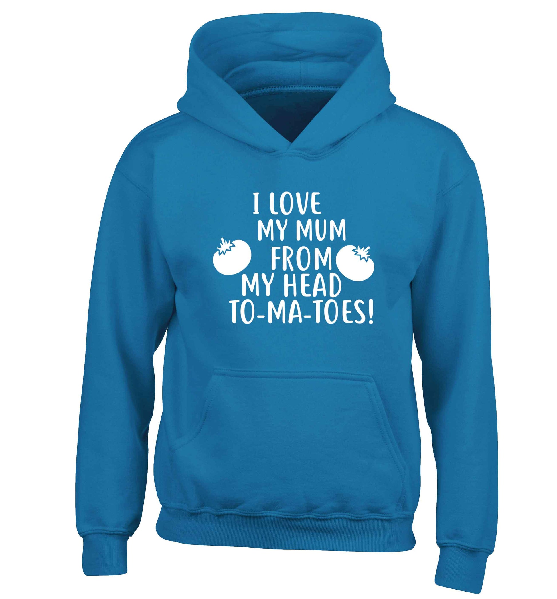 I love my mum from my head to-my-toes! children's blue hoodie 12-13 Years