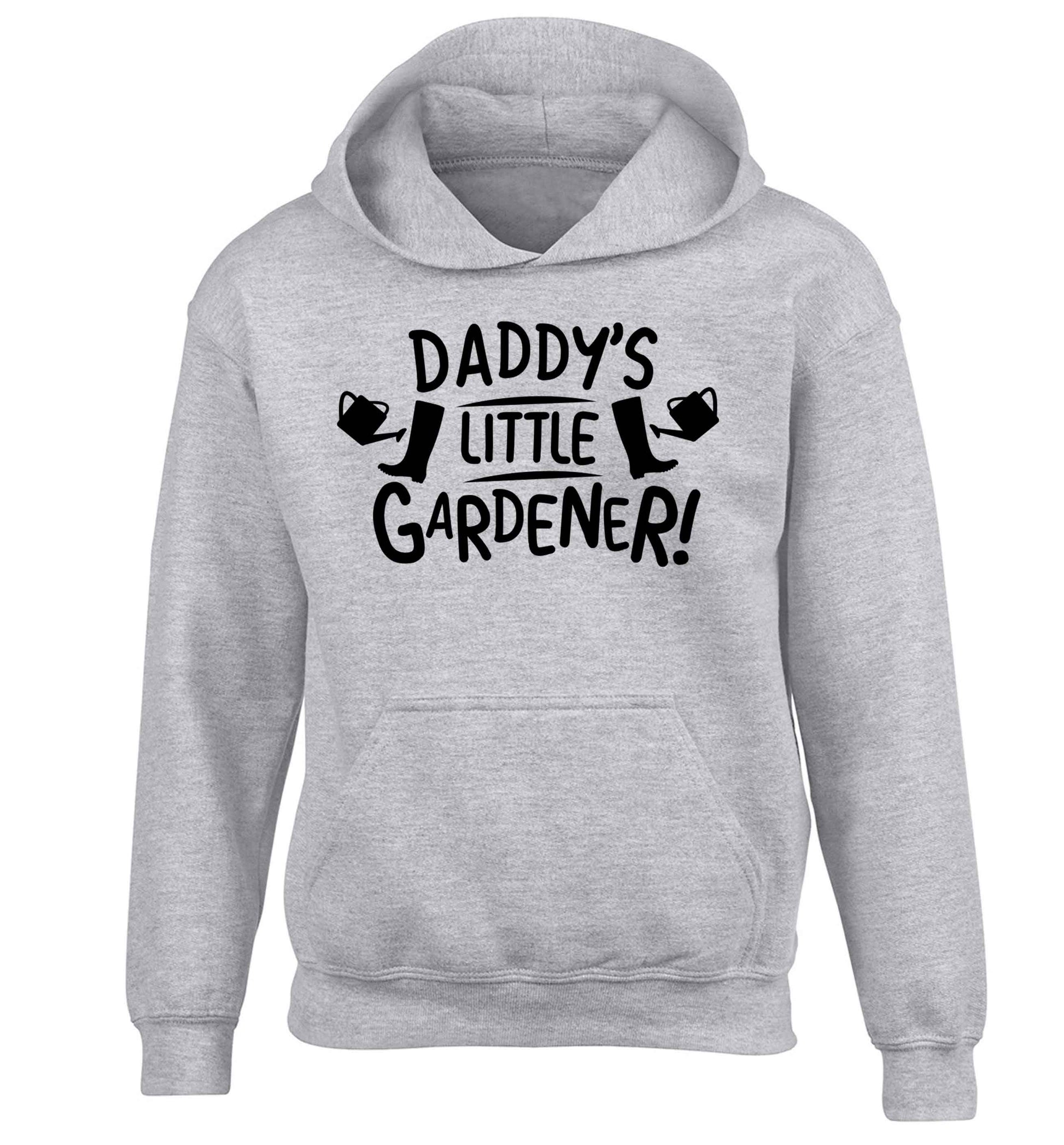 Daddy's little gardener children's grey hoodie 12-13 Years