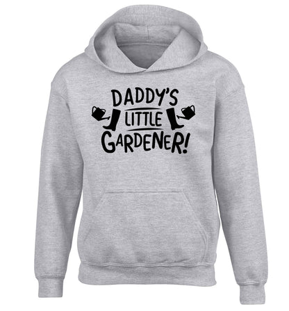 Daddy's little gardener children's grey hoodie 12-13 Years