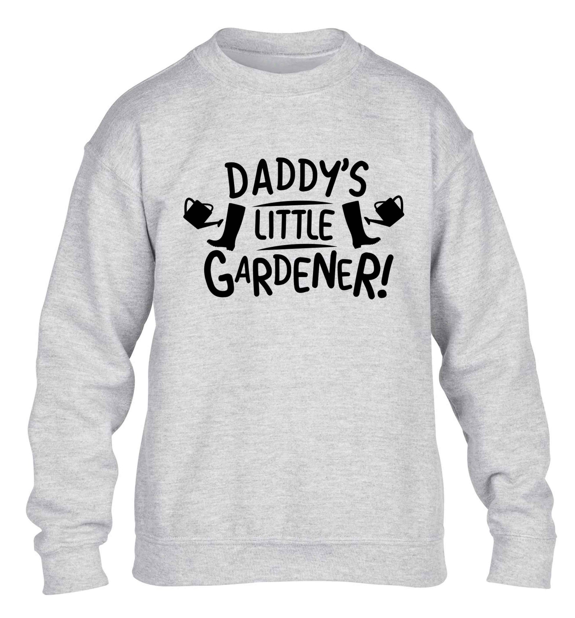 Daddy's little gardener children's grey sweater 12-13 Years