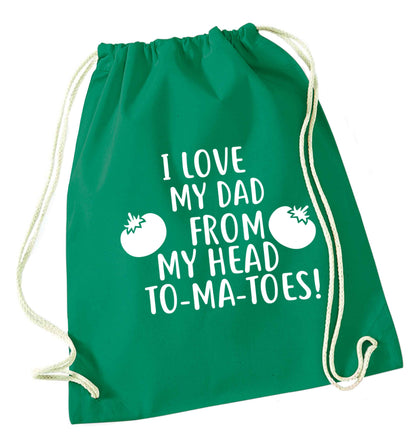 I love my dad from my head to-ma-toes green drawstring bag