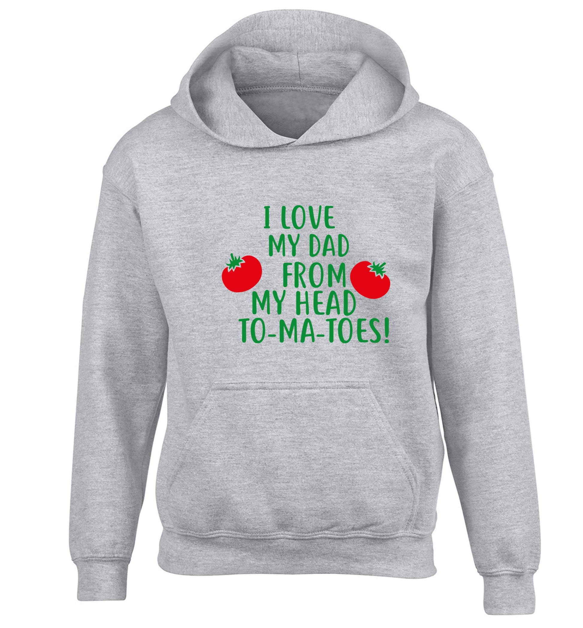 I love my dad from my head to-ma-toes children's grey hoodie 12-13 Years