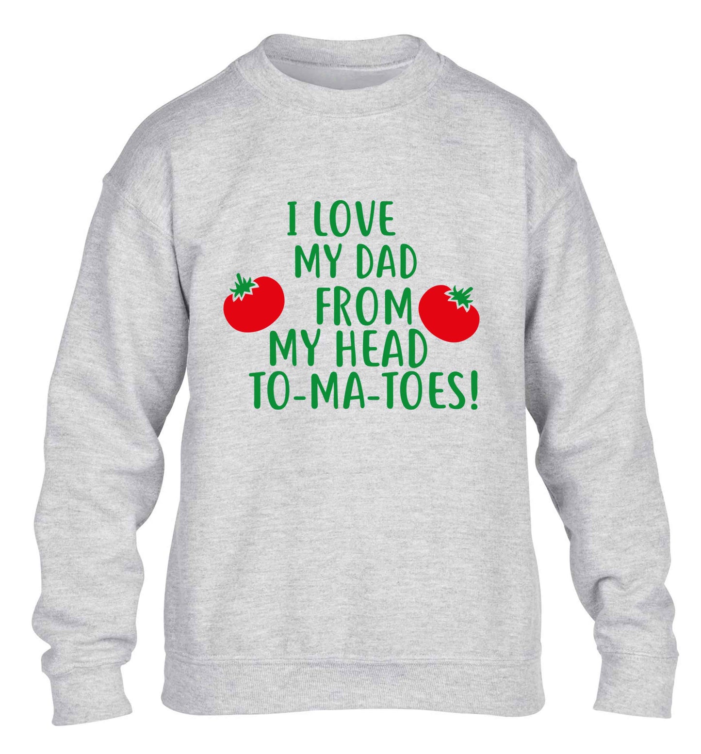 I love my dad from my head to-ma-toes children's grey sweater 12-13 Years
