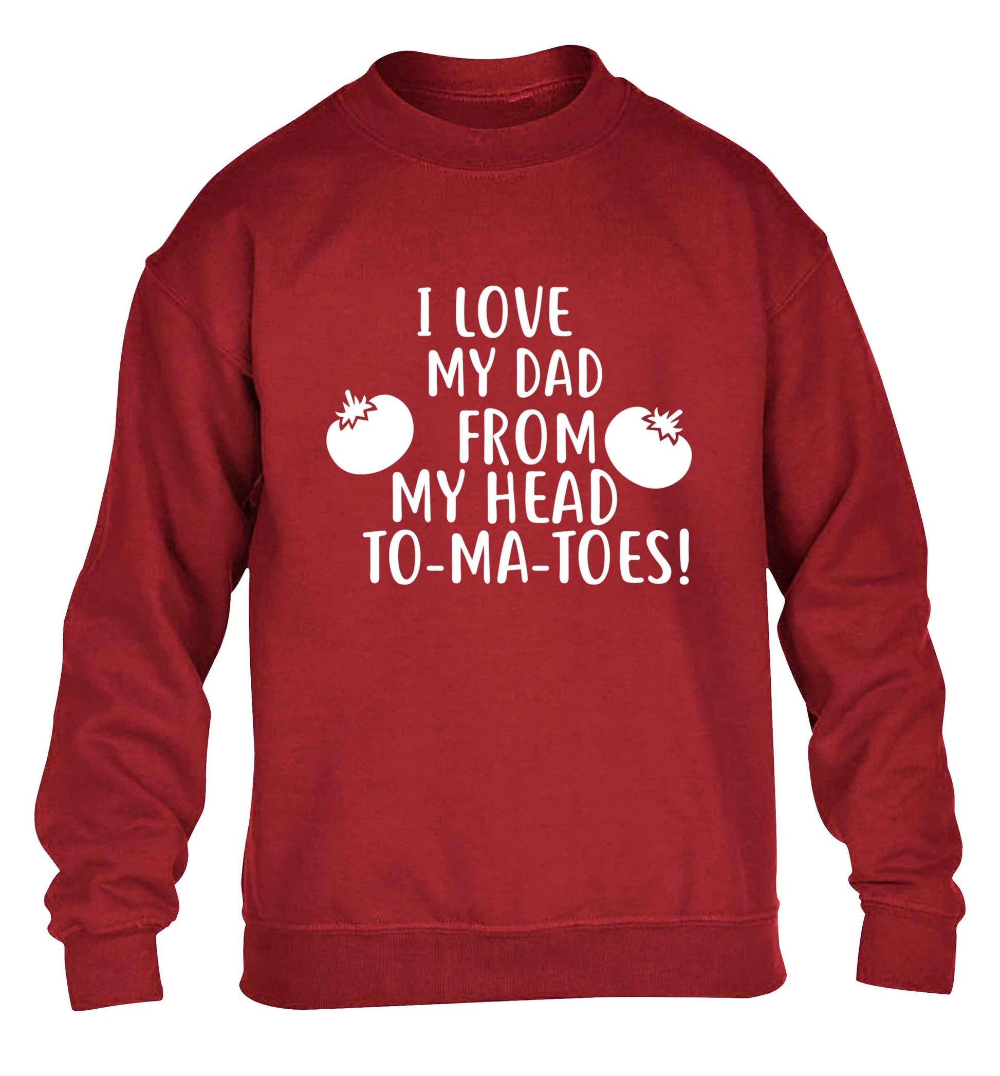 I love my dad from my head to-ma-toes children's grey sweater 12-13 Years