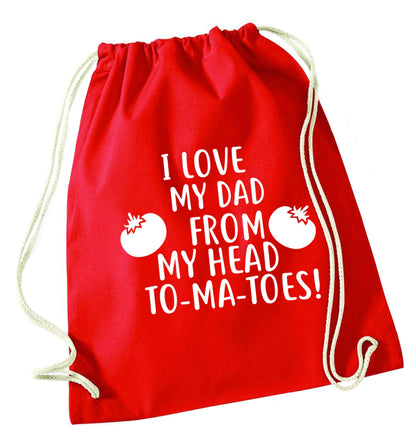I love my dad from my head to-ma-toes red drawstring bag 