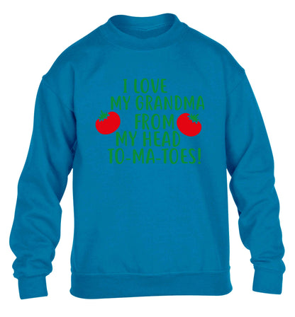 I love my grandma from my head to-ma-toes children's blue sweater 12-13 Years