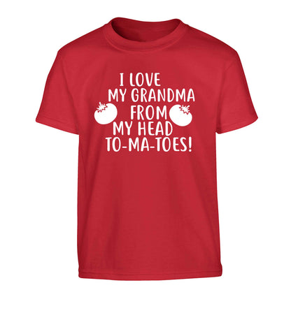 I love my grandma from my head to-ma-toes Children's red Tshirt 12-13 Years