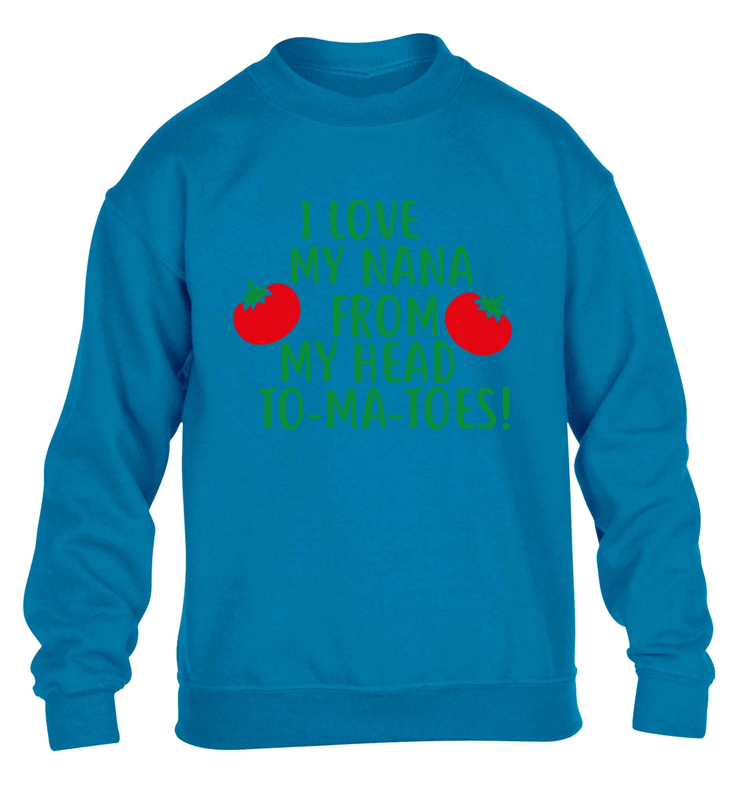 I love my nana from my head to-ma-toes children's blue sweater 12-13 Years