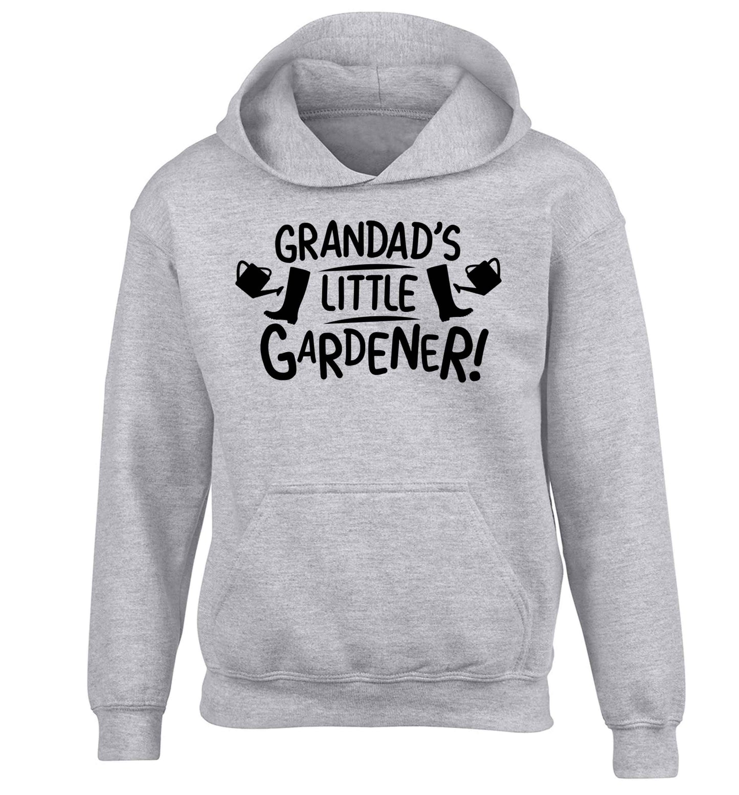 Grandad's little gardener children's grey hoodie 12-13 Years