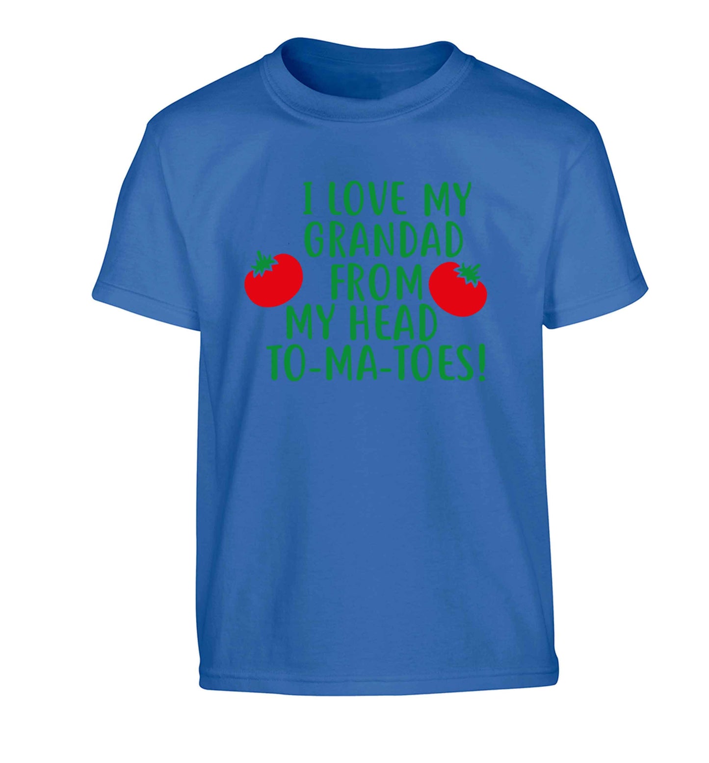I love my grandad from my head To-Ma-Toes Children's blue Tshirt 12-13 Years