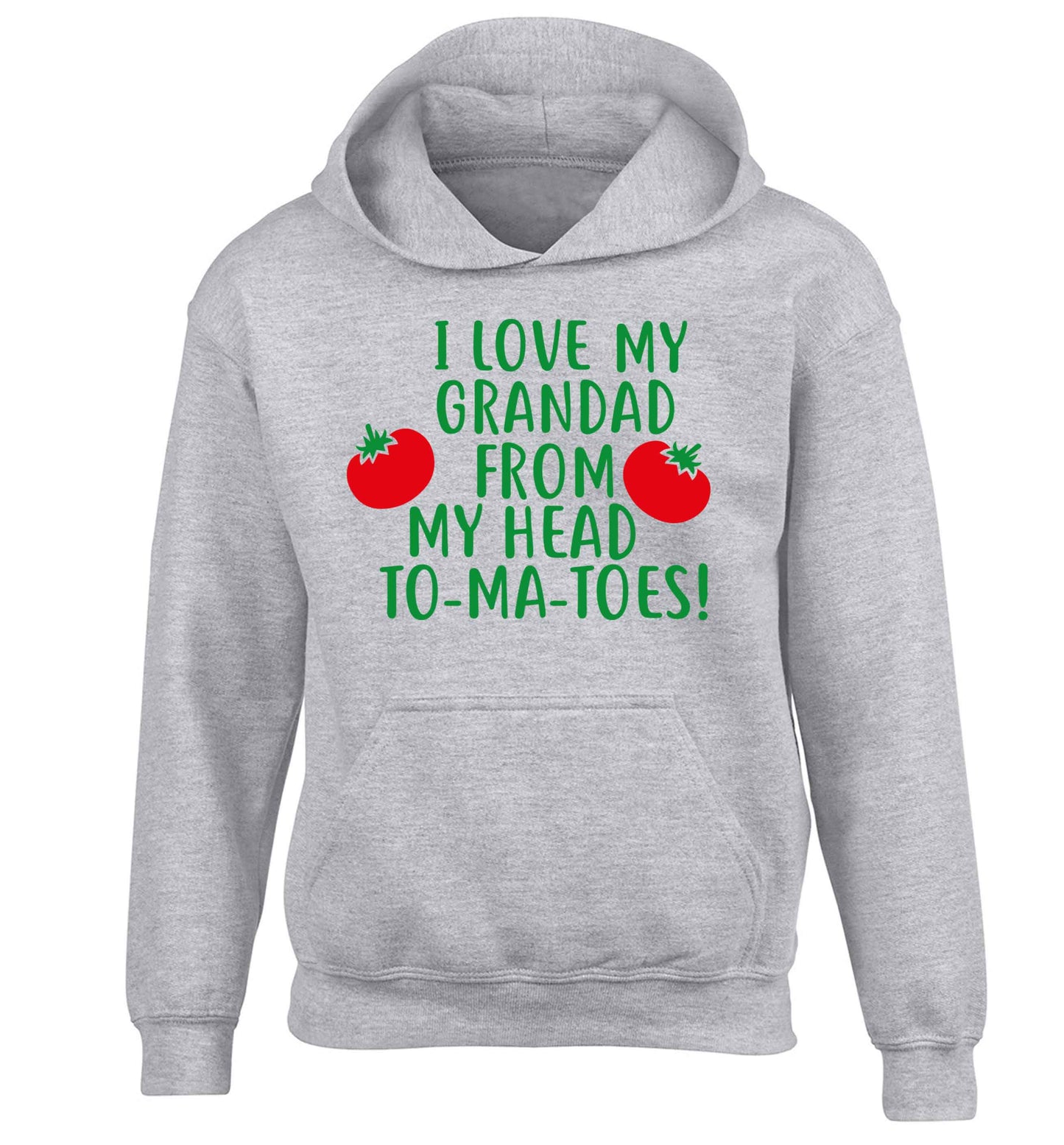 I love my grandad from my head To-Ma-Toes children's grey hoodie 12-13 Years