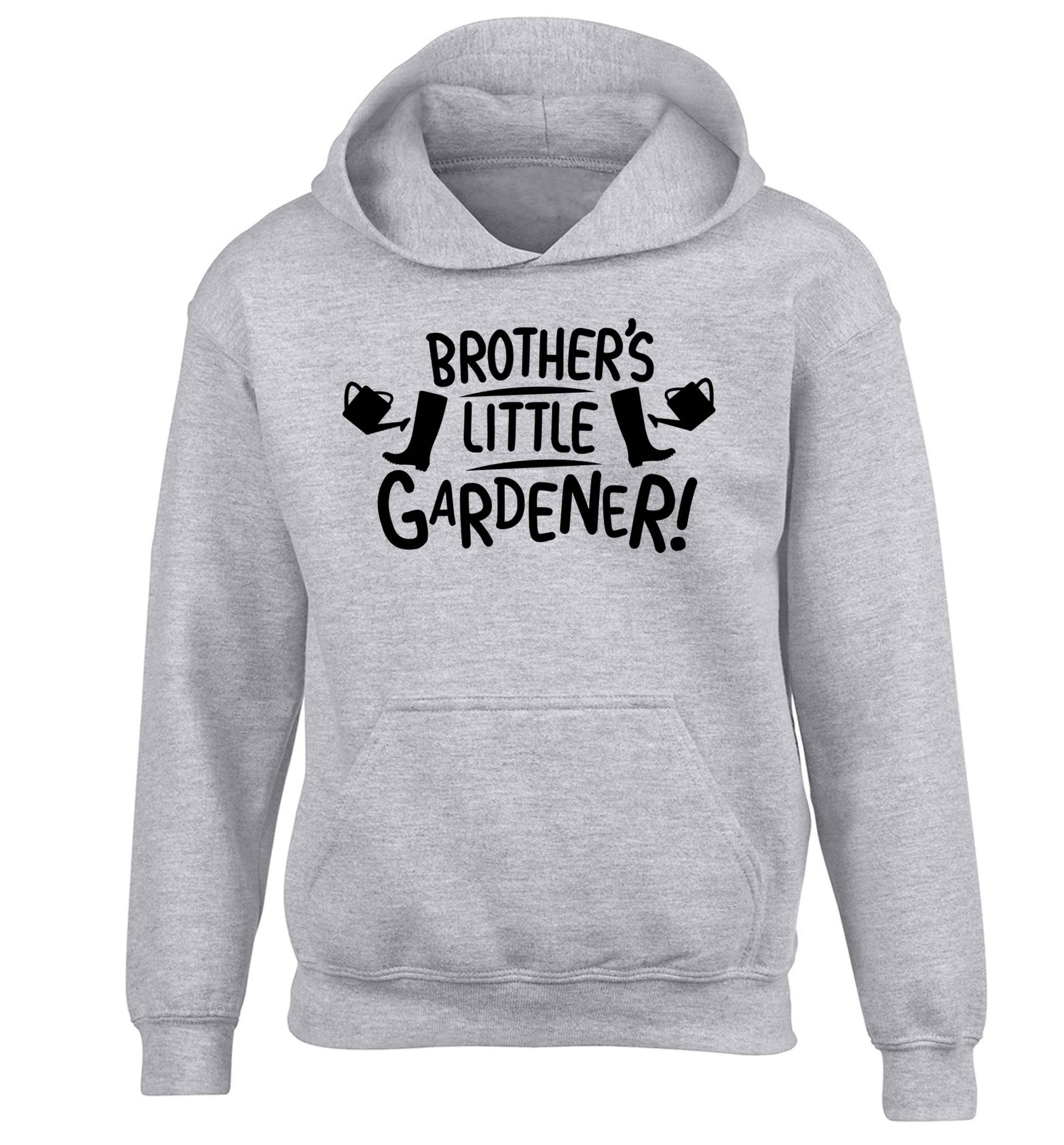 Brother's little gardener children's grey hoodie 12-13 Years