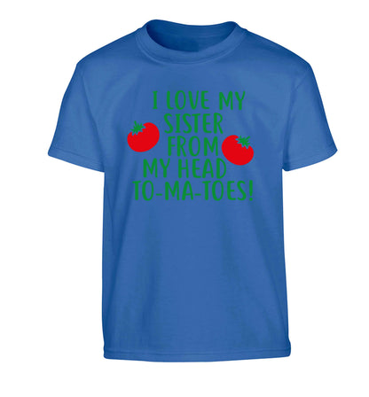 I love my sister from my head to-ma-toes Children's blue Tshirt 12-13 Years