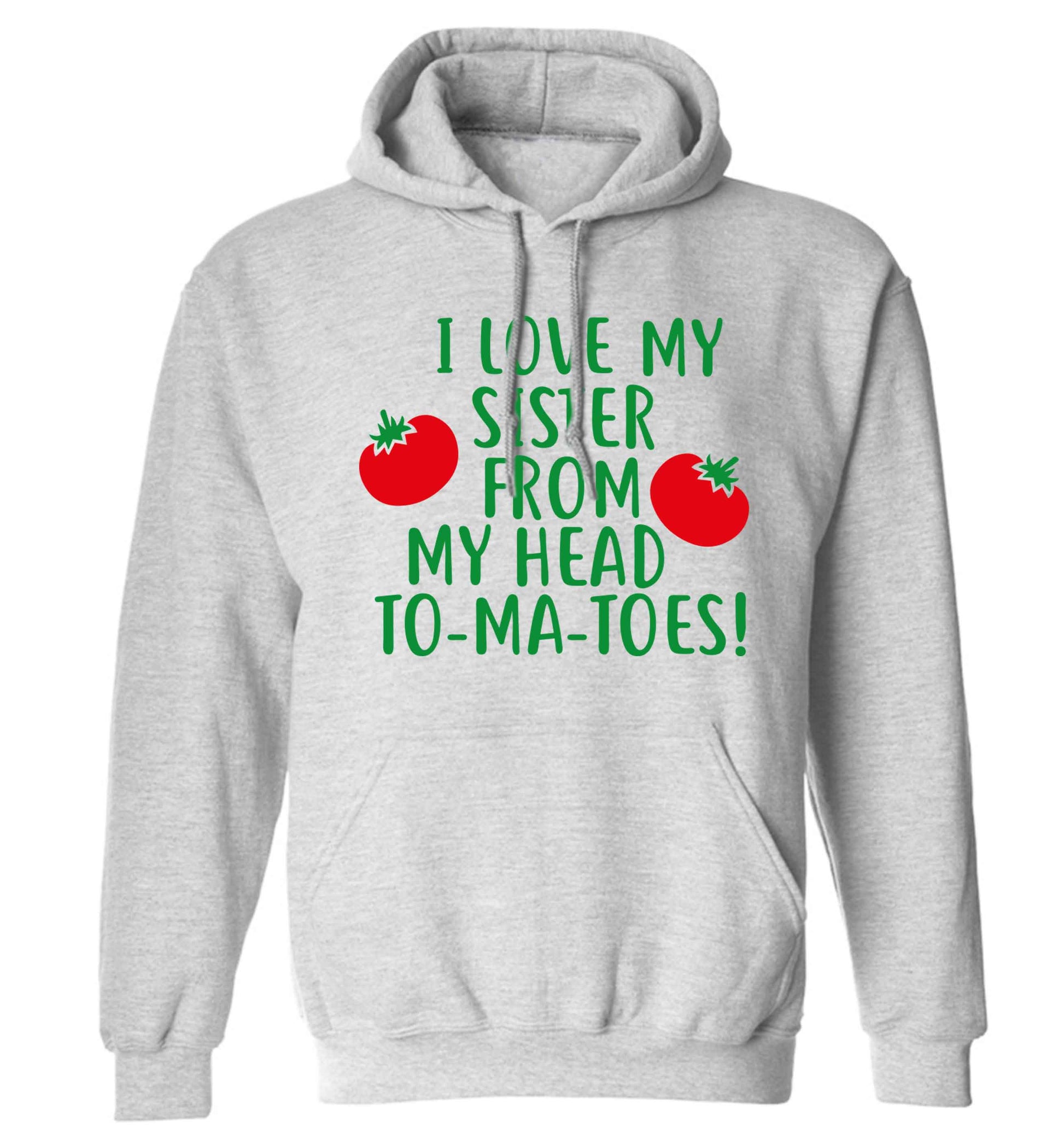 I love my sister from my head to-ma-toes adults unisex grey hoodie 2XL