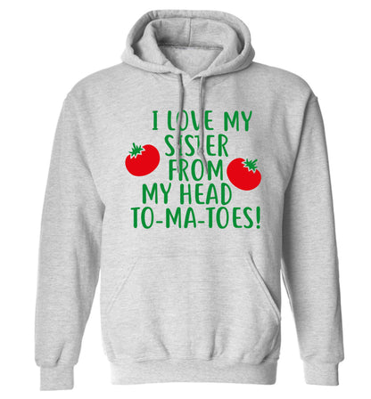 I love my sister from my head to-ma-toes adults unisex grey hoodie 2XL