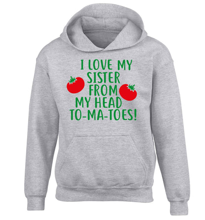 I love my sister from my head to-ma-toes children's grey hoodie 12-13 Years