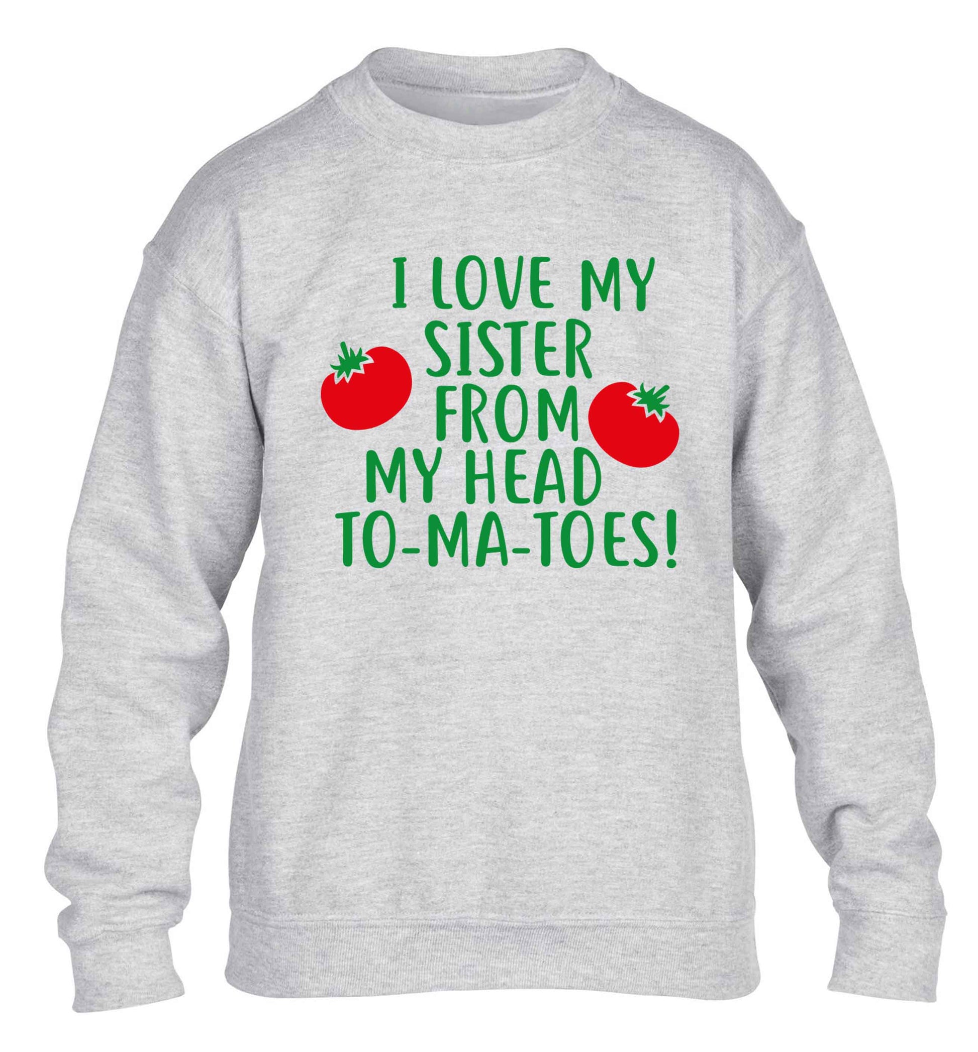 I love my sister from my head to-ma-toes children's grey sweater 12-13 Years