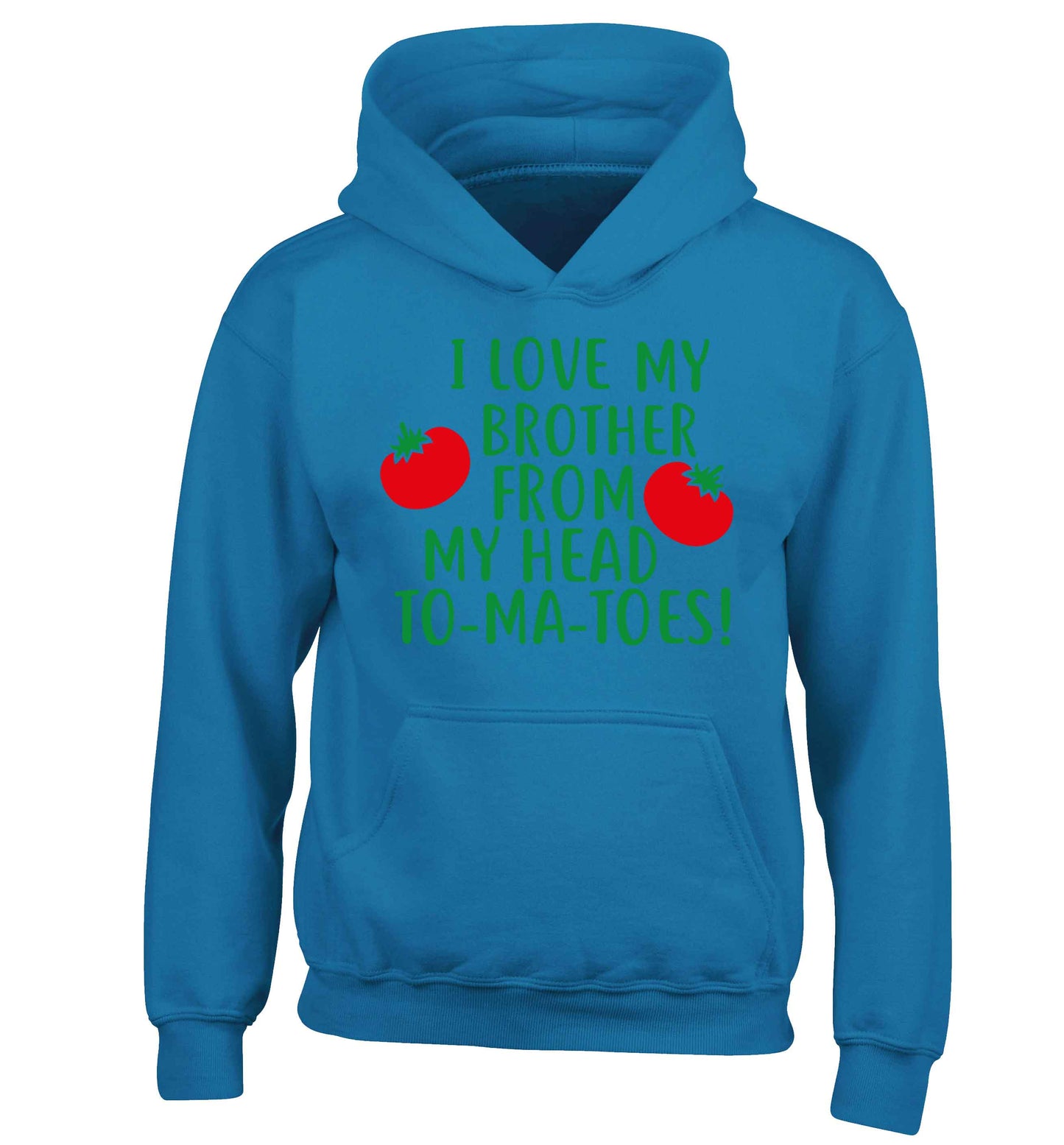 I love my brother from my head to-ma-toes children's blue hoodie 12-13 Years