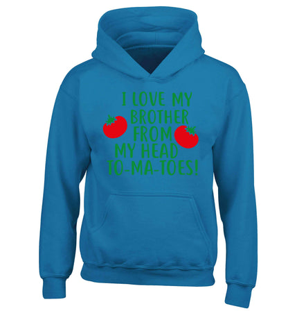 I love my brother from my head to-ma-toes children's blue hoodie 12-13 Years