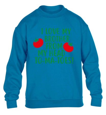 I love my brother from my head to-ma-toes children's blue sweater 12-13 Years