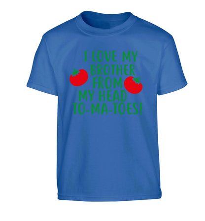 I love my brother from my head to-ma-toes Children's blue Tshirt 12-13 Years