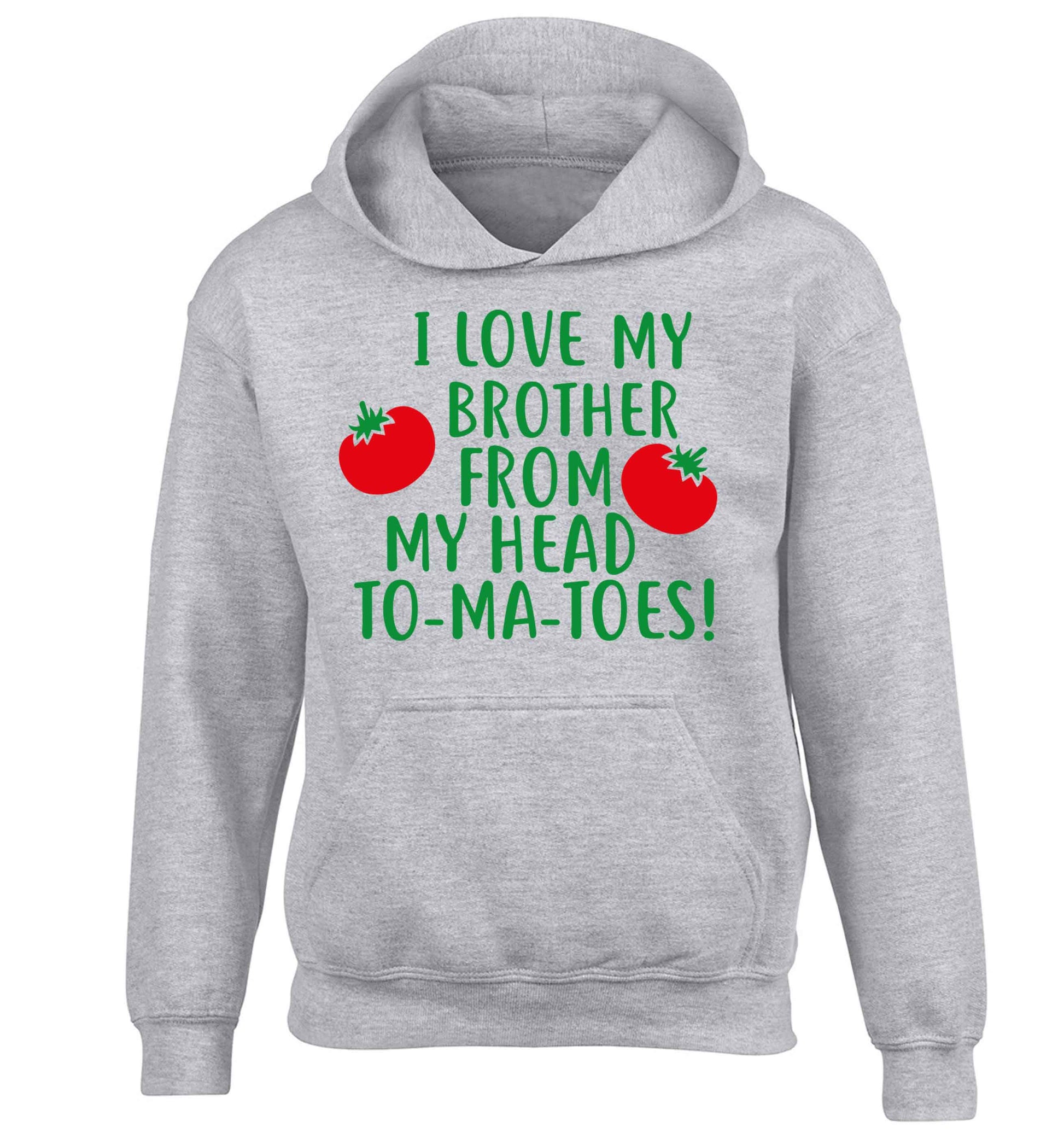 I love my brother from my head to-ma-toes children's grey hoodie 12-13 Years