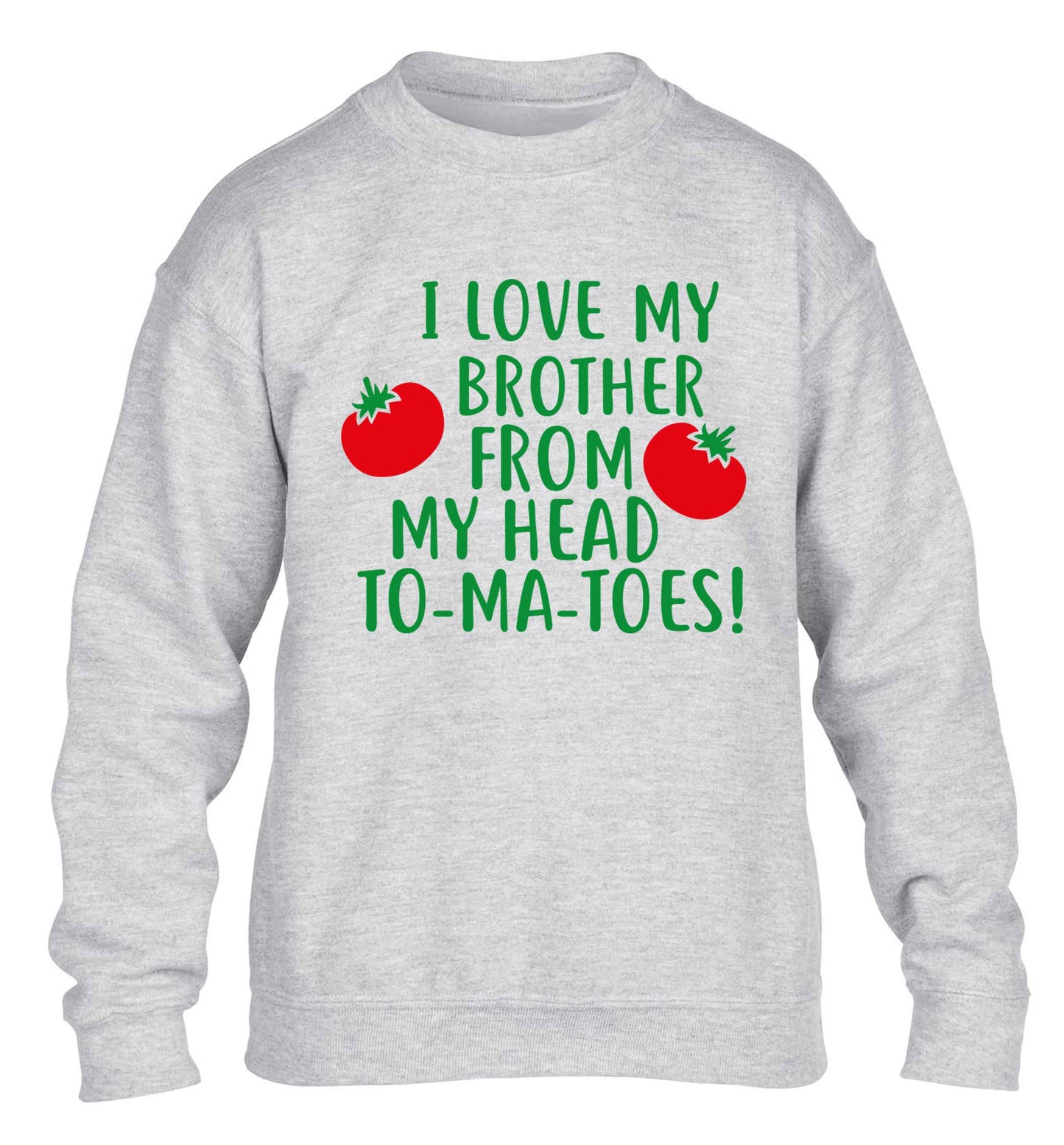 I love my brother from my head to-ma-toes children's grey sweater 12-13 Years