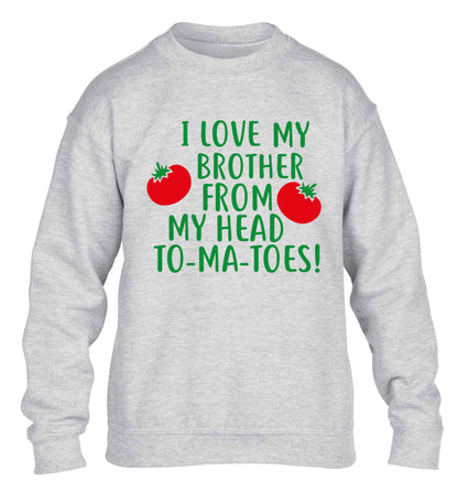I love my brother from my head to-ma-toes children's grey sweater 12-13 Years
