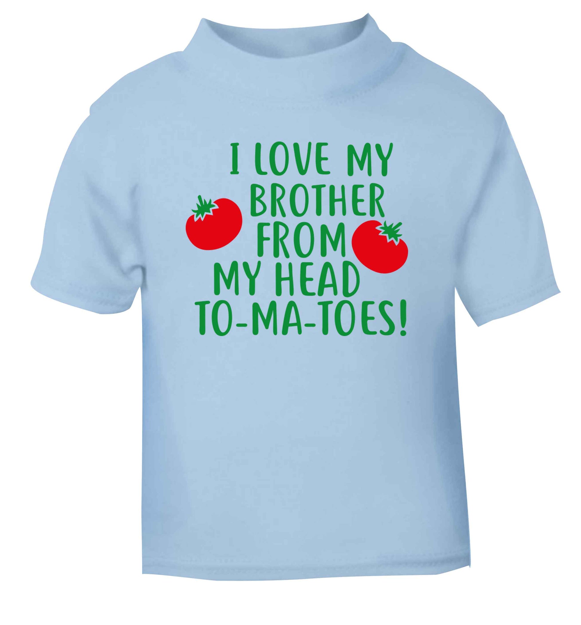 I love my brother from my head to-ma-toes light blue Baby Toddler Tshirt 2 Years
