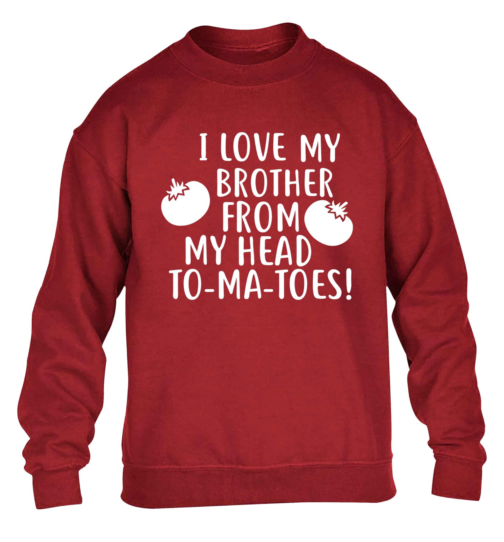 I love my brother from my head to-ma-toes children's grey sweater 12-13 Years
