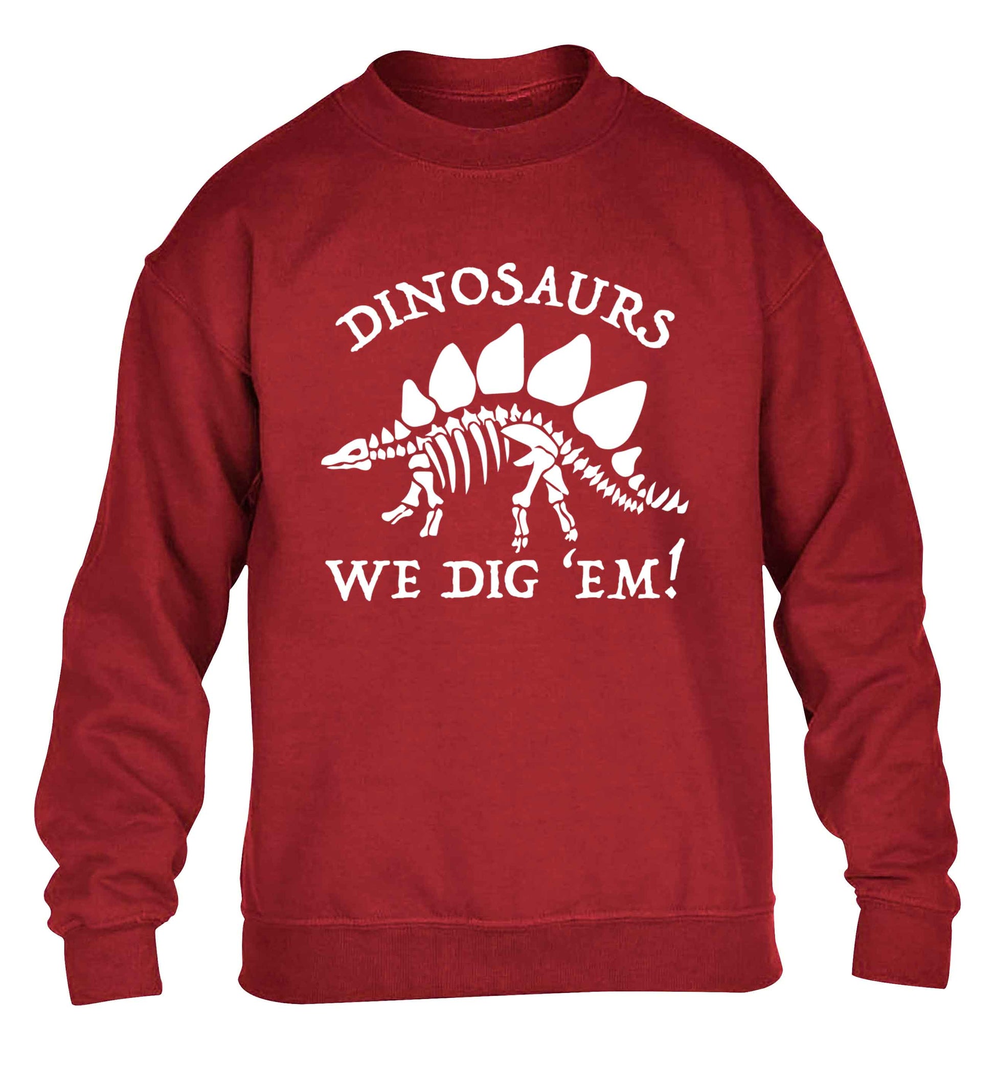 Dinosaurs we dig 'em! children's grey sweater 12-13 Years