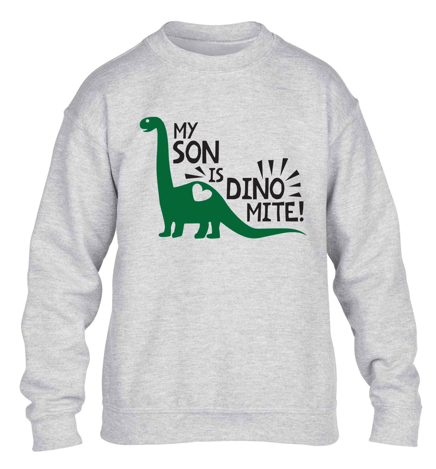 My son is dinomite! children's grey sweater 12-13 Years