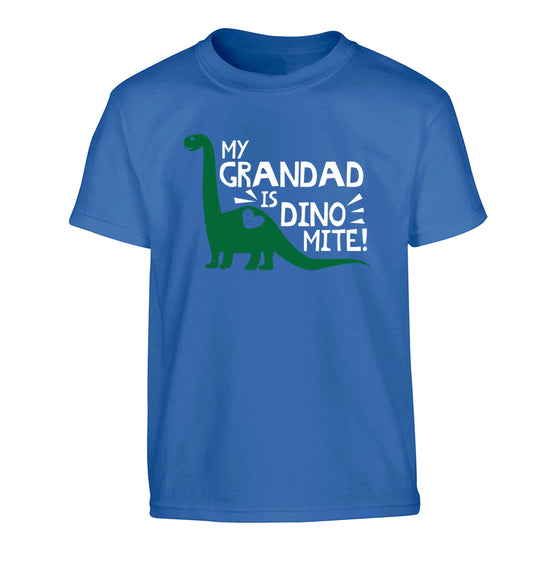 My grandad is dinomite! Children's blue Tshirt 12-13 Years
