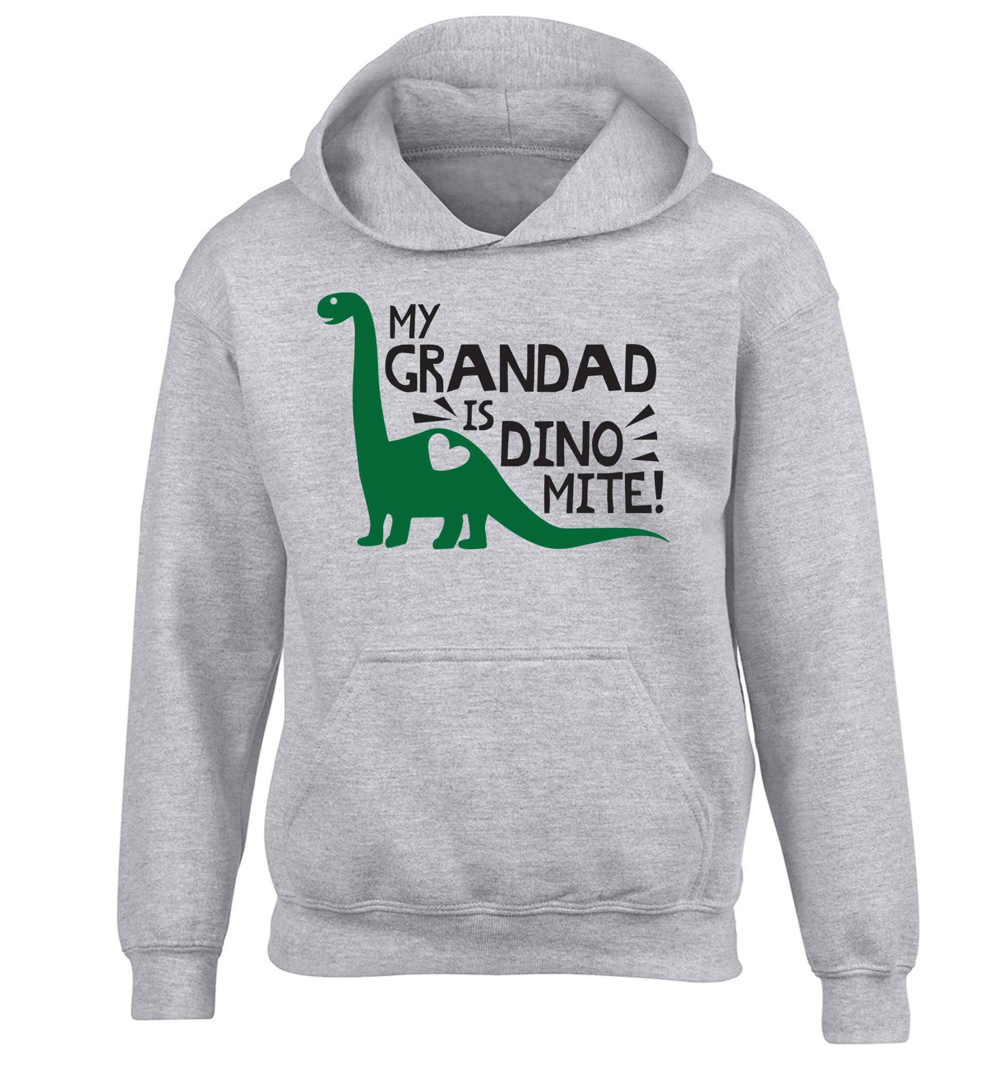 My grandad is dinomite! children's grey hoodie 12-13 Years